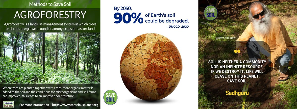 More than 30% of new diseases since 1960 are attributed to land-use change, including deforestation.
We need healthy forests for healthy people! - FAO
#cpsavesoil #SaveSoilFixClimateChange #SoilForClimateAction 

✍️Write a letter #PolicyForSoil savesoil.org/write