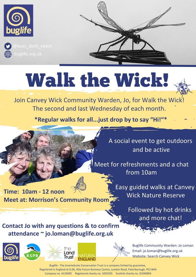 Twice a month #CanveyWick Community Warden, Jo, leads #WalkTheWick. 👣 Easy guided walks at Canvey Wick Nature Reserve, exploring the natural world & discovering the beauty of 'England's Rainforest', in all weathers & throughout the year. 🧵/1 @CanveyViews @thelandtrust