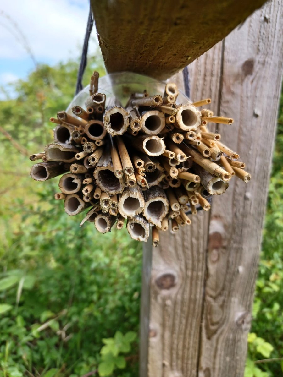 @CanveyViews @thelandtrust 🔅 The most recent walk was blessed with sunshine; the group tested the newly installed benches & checked out their @The_Buzz_Club Big Bee Hotel.

Find out more about this great #CitizenScience project & get involved
👇
thebuzzclub.uk/thebigbeehotel…

🧵/2 #CanveyWick @thelandtrust