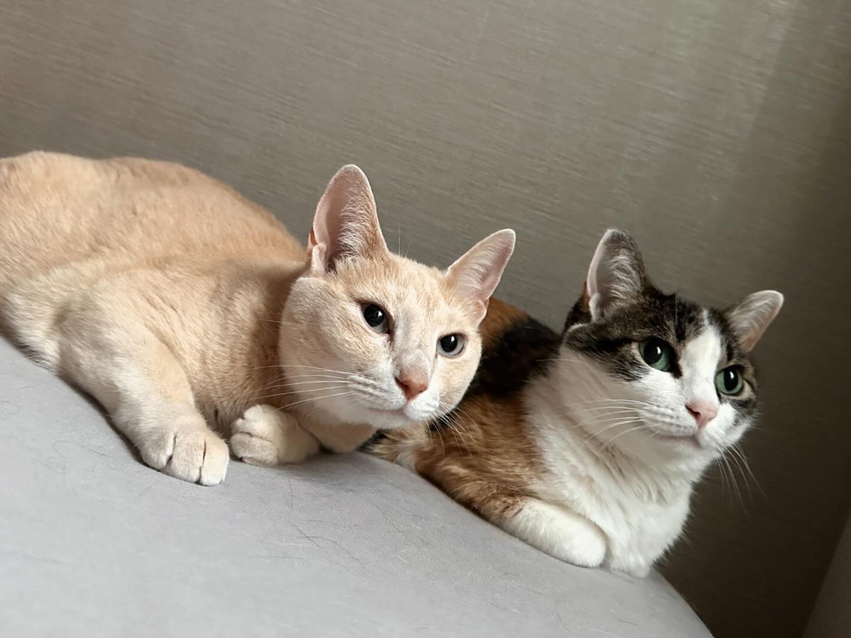 朝目が覚めて1番最初に見た光景