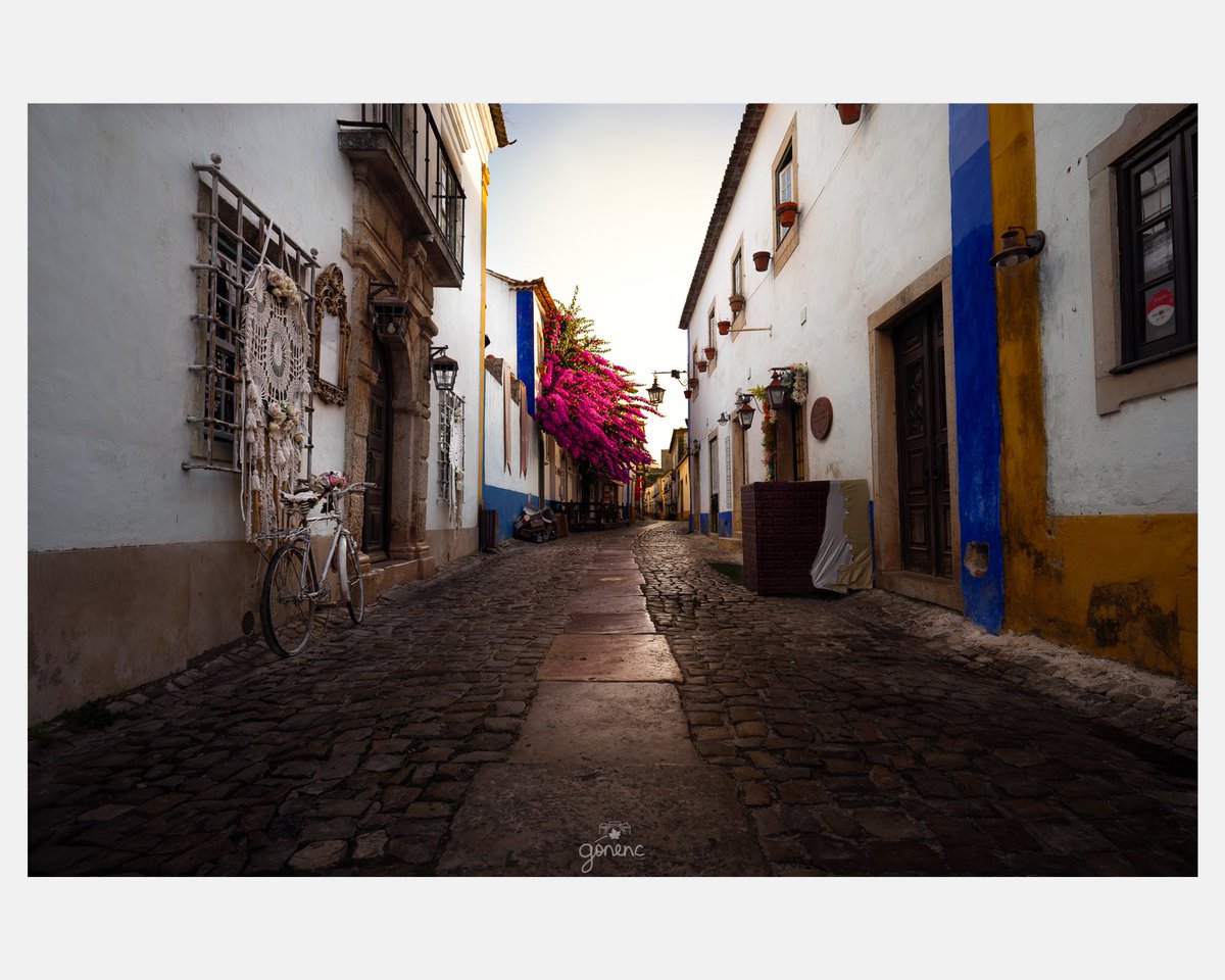 Sabahın ilk ışıklarıyla aydınlanan Orta Çağ köyü Obidos'un arnavut kaldırımlı sokakları ve mor begonviller 🌺

#photooftheday #sunrise #portugal #nikonz6ii #travelphotography #urbanphotography