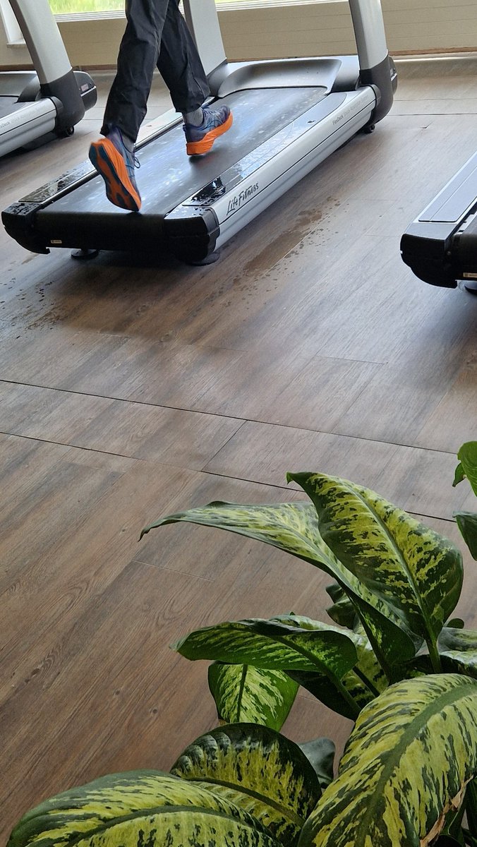 Was halten wir denn von diesen Sweatsuits aka Schwitzeanzüge im Gym auf dem Laufband? Mir geht es hier nicht um eventuellen Nutzen sondern die Frage, ob Go oder NoGo. Überlege jetzt seit einer geschlagenen Stunde. Obwohl es intuitiv erstmal ein klares NoGo war. 🤔