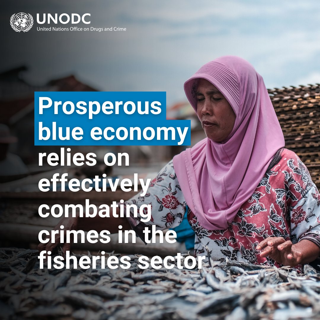 Safe, healthy oceans, and a prosperous blue economy rely on law enforcement protection.
By combating crimes in the fisheries sector, we can grow the economy, preserve marine resources, and support the livelihoods of millions.
#endENVcrime #crimesinfisheries