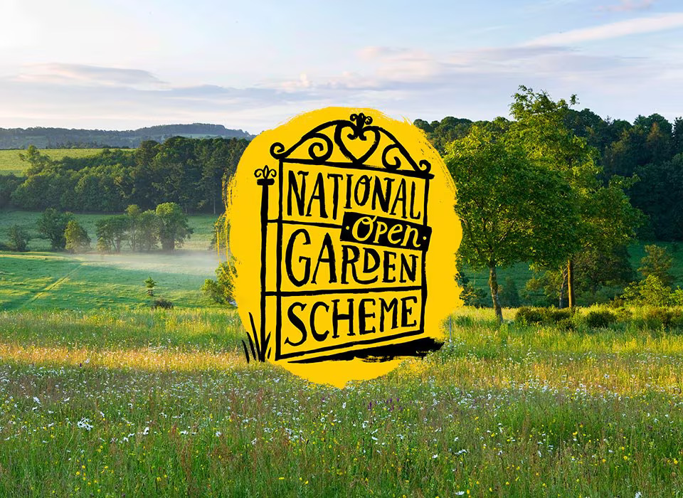 🌸 Discover stunning gardens and support charity with the National Garden Scheme! Dive into the latest issue of Ludlow Lifestyle magazine for inspiration. Read now: yumpu.com/en/document/re…

#nationalgardenscheme #Gardening #Charity #LudlowLifestyle