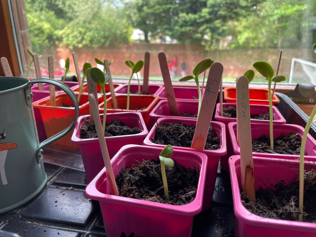 Prenton Prep School tweet media