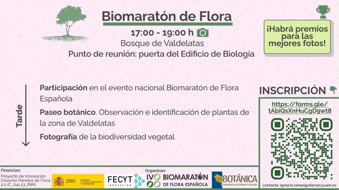 Dentro del @Biomaraton de Flora Española, esta tarde daremos un paseo botánico por el Bosque de Valdelatas. ¡Aún puedes apuntarte! 🗓️ Hoy, 16 de mayo ⌚ 17:00 📌 Puerta del Edificio de Biología @UAM_Madrid maps.app.goo.gl/XkJKMmX9Bhuf3G…