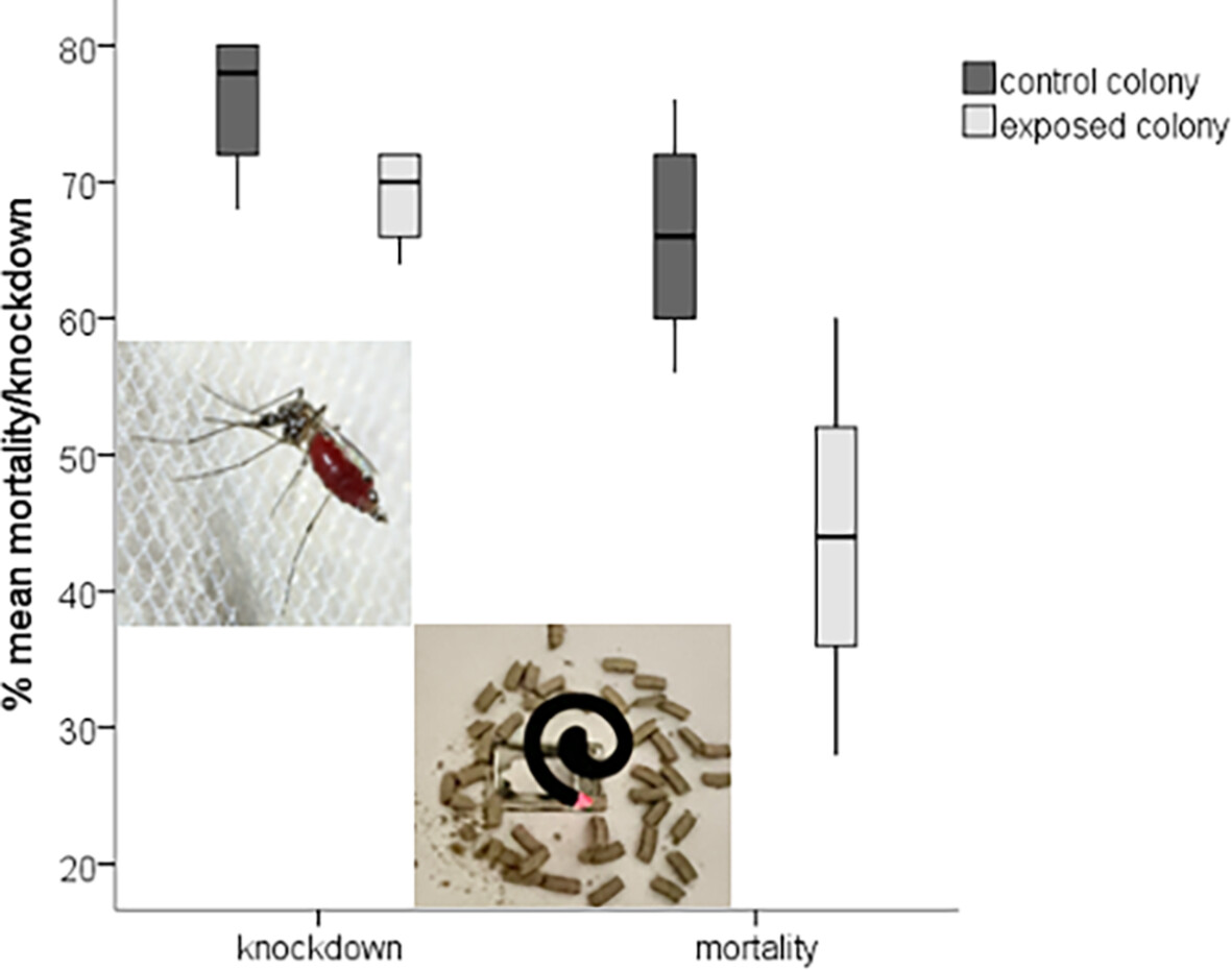 Impact of the exposure of sublethal dose of #mosquito coil on the development of insecticide resistance in #Aedes aegypti (L.) (Diptera: #Culicidae): doi.org/10.1111/mve.12… 
#InsectVectors #VectorControl #InsecticideResistance