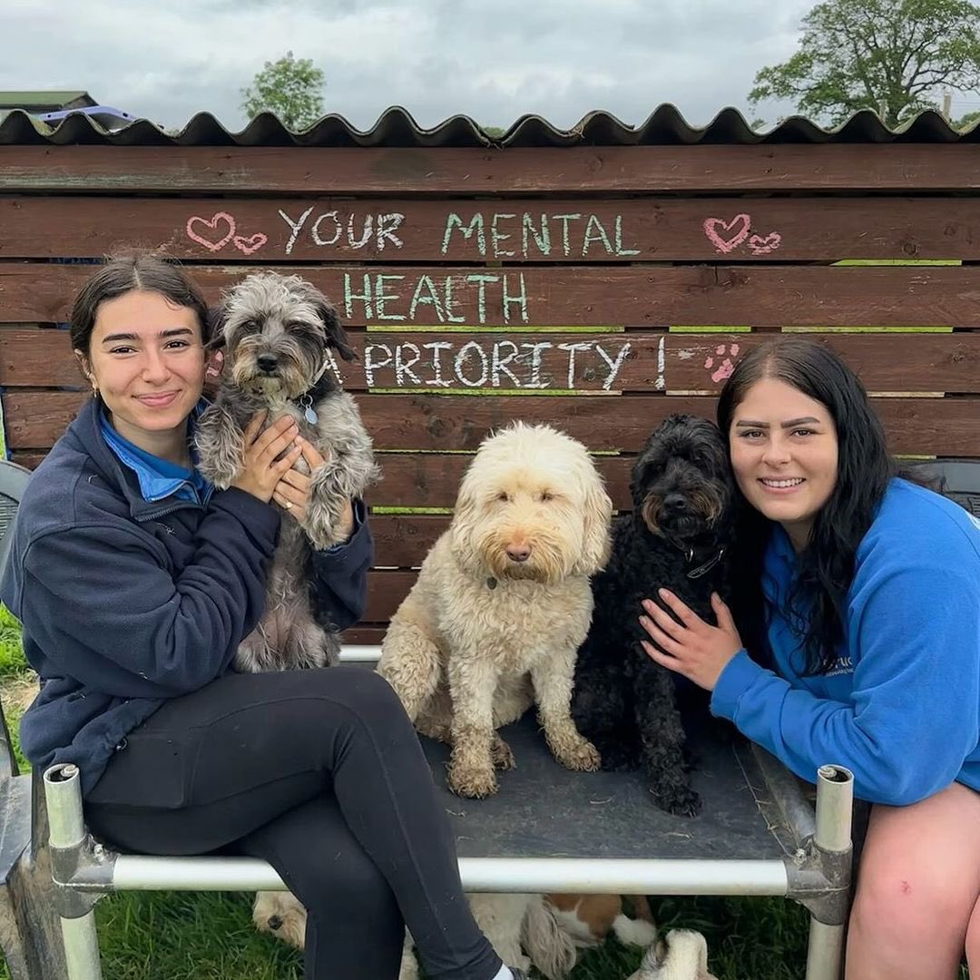 👏 👏👏 @brucesdogdays mentalhealth-uk.org’s research shows that 56% of people found that exercising regularly helped them to alleviate stress and prevent burnout Do you agree? Is walking your dog the most peaceful part of your day? 🍃🐾 #MoveYourWay #endstigmasurrey