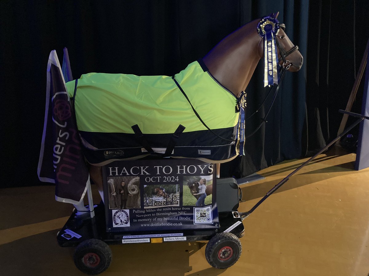 Hack to Hoys - pulling Miles the resin horse from Newport to Birmingham in memory of Brodie @PAPYRUS_Charity Riders Minds #smileswithmiles #passiton #suicideprevention #suicidepreventionawareness #mentalhealth #mentalhealthawareness #mentalhealthsupport