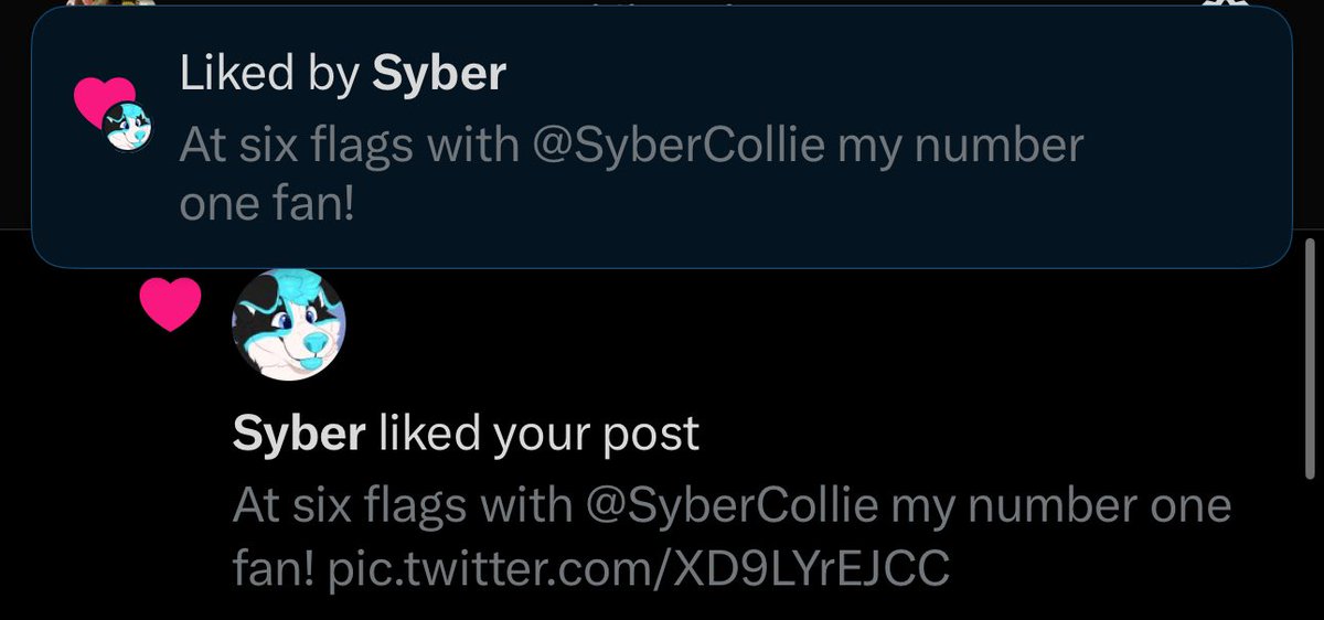 Thanks for the support from my number one fan @SyberCollie :D