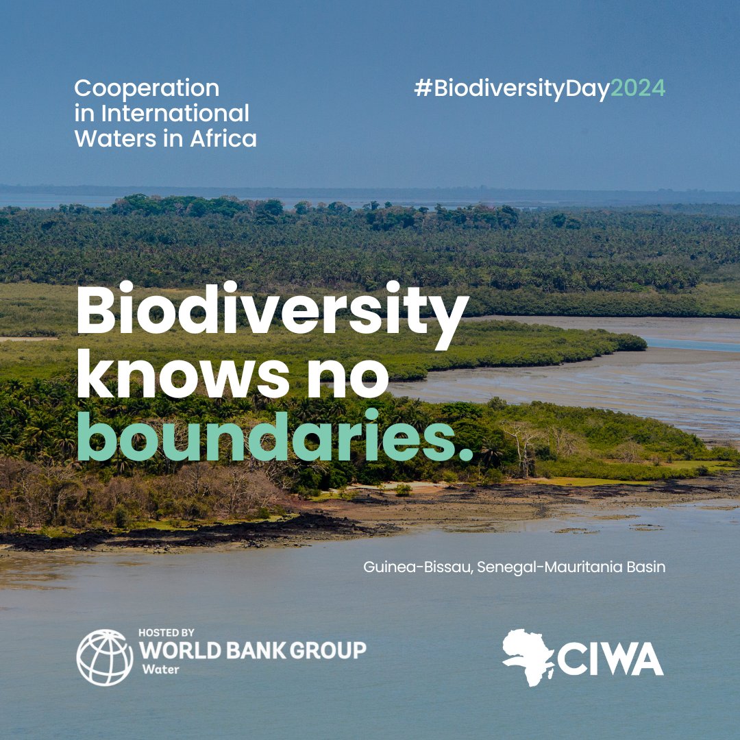 #BiodiversityDay is approaching! 🌱 @CIWAprogram works with @OMVSlofficial in the Senegal-Mauritania Aquifer Basin 🇬🇲 🇬🇼 🇲🇷 🇸🇳 on #transboundary #groundwater cooperation🫱🏿‍🫲🏽 for healthier #ecosystems 🌳🌊 Read our blog for more 👉🏿wrld.bg/hV0h50RHVN0 Be #PartOfThePlan