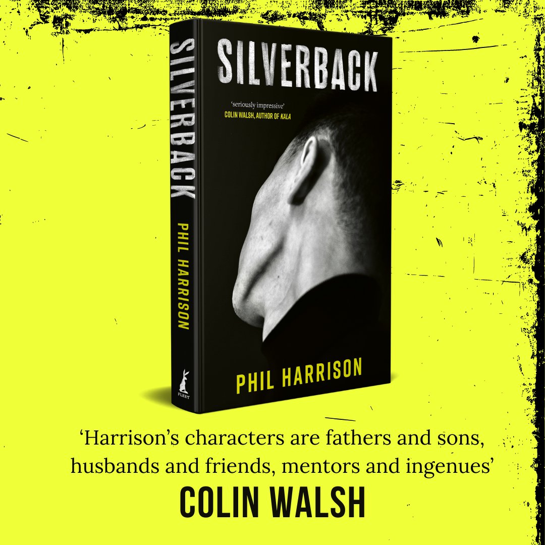 'Seriously impressive' Colin Walsh Coming this June, @fillharrison's Silverback is a powerful portrayal of the complications of masculinity and of the line between fragility and violence told in an unforgettable voice. Find out more: brnw.ch/21wJPk5