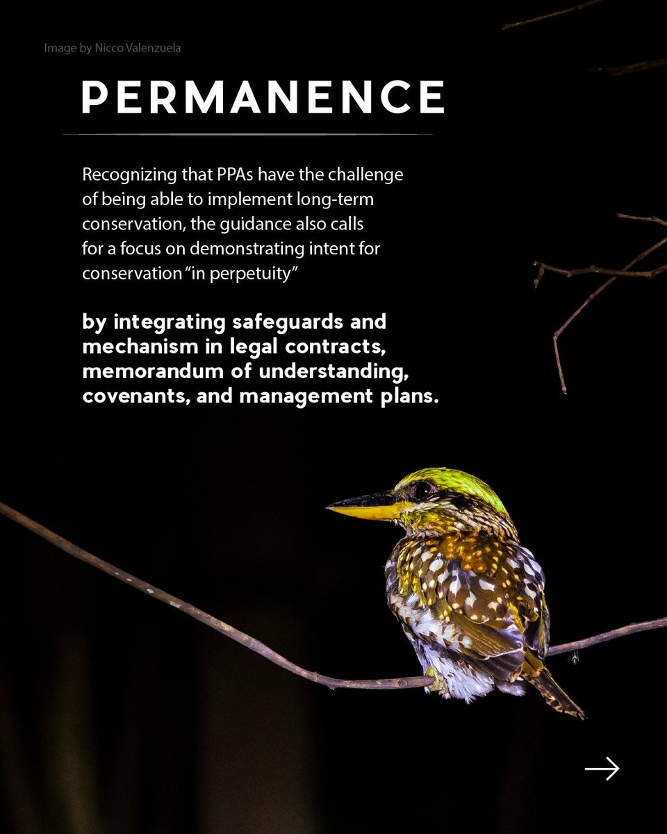 Forever may be wishful thinking, but any real conservation effort requires the longest possible commitment from all sectors of society. We continue to urge the @denrofficial to visit the project site, engage in constructive dialogue, and collaborate to #SaveMasungi (1/3)