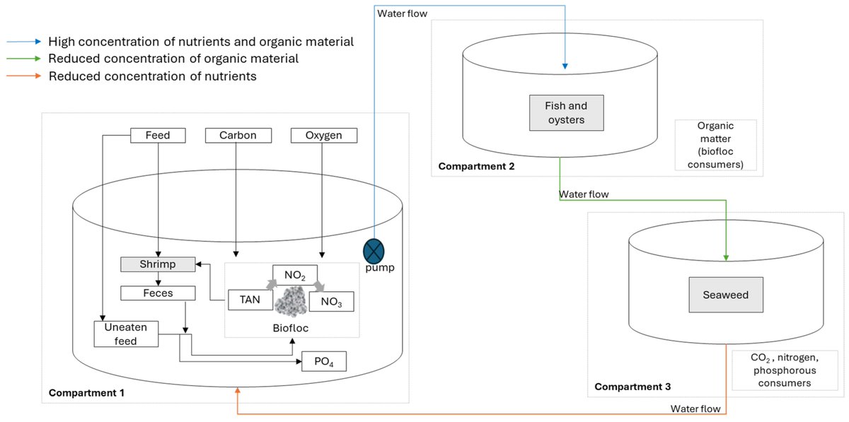 🐟 #New Paper in 2024 ✍️ '#Circularity_Assessment in Aquaculture: The Case of Integrated Multi-Trophic Aquaculture (IMTA) Systems' by Daniel Checa et al. 👉mdpi.com/2410-3888/9/5/… 📌#aquaculture #IMTA #assessment