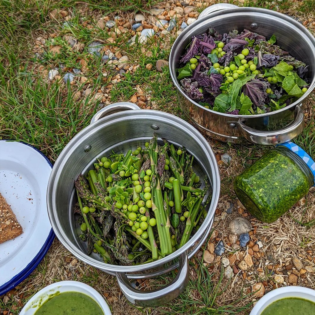 Ramsgate Through The Senses kicks off tomorrow and continues right through until Sunday! Have you got tickets to attend some of our many fantastic #workshops and events? 

ramsgatethroughthesenses.org

#ramsgate #kent #foraging #workshops #margate