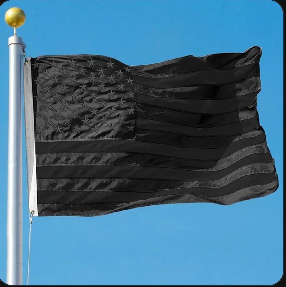Be aware of people flying this flag. They are alternate right, violent scum and will use violence against their opponents.