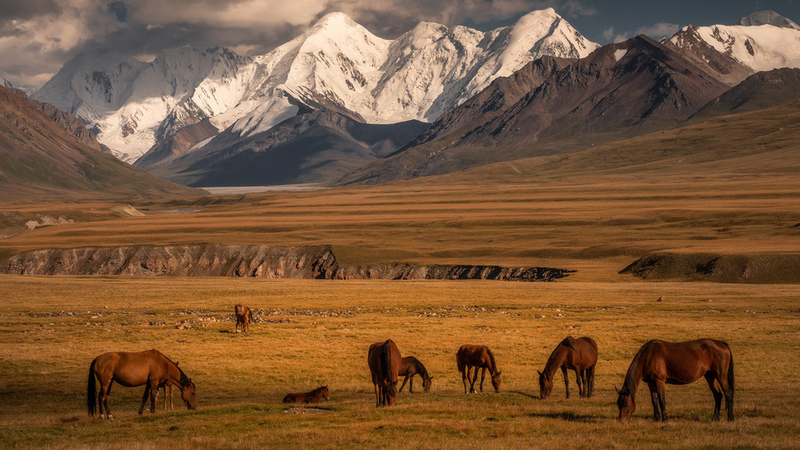 Katta sikli qora yigit shirinlikni sikadi Xotin almashish retro porno filmi