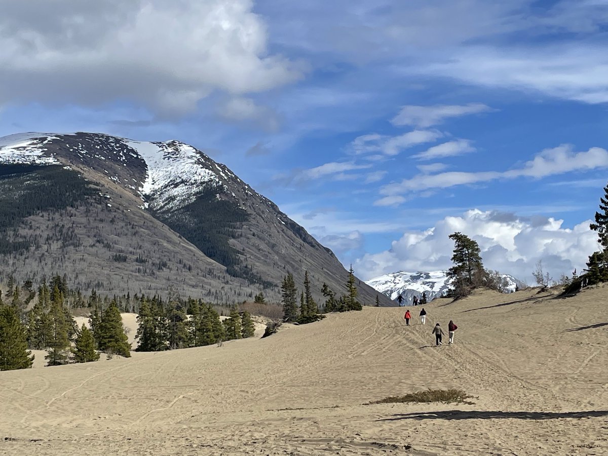 David V. Wright (@davevwright) on Twitter photo It was an amazing day in Carcross YT today with <a href="/UCalgaryLaw/">UCalgary Law</a> students learning and engaging deeply. Wonderful to get out and about in the community and on the land. A huge thank you to <a href="/GCTFN/">Carcross/Tagish FN</a> for so warmly welcoming our class and sharing perspectives. It was an amazing day in Carcross YT today with <a href="/UCalgaryLaw/">UCalgary Law</a> students learning and engaging deeply. Wonderful to get out and about in the community and on the land. A huge thank you to <a href="/GCTFN/">Carcross/Tagish FN</a> for so warmly welcoming our class and sharing perspectives.