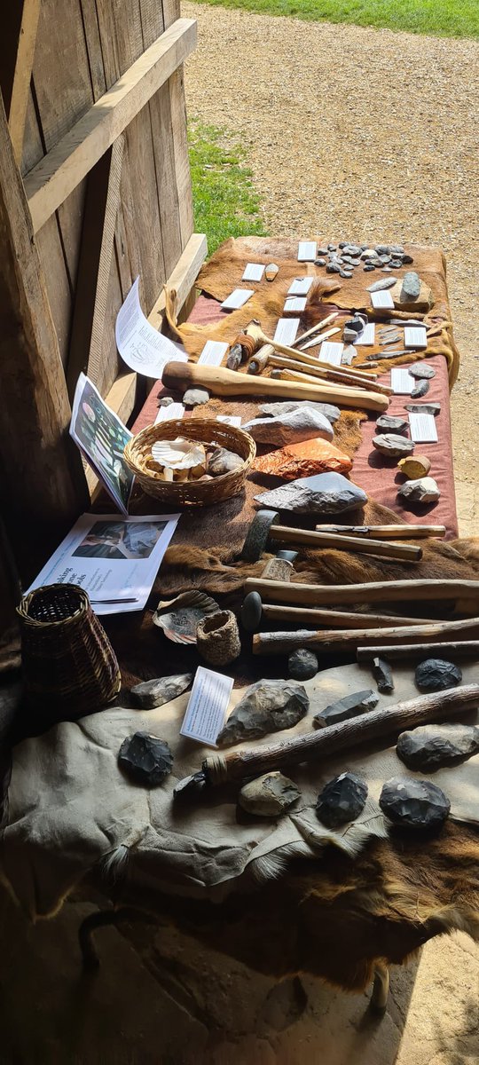 We were incredibly fortunate to have this great display table at our recent Butser weekend. The display featured a variety of stone tools, animal hides and organic artefacts. Thank you so much to our committee (particularly @ThePointyEndUK @jonathan_cope) for organising it 🙌