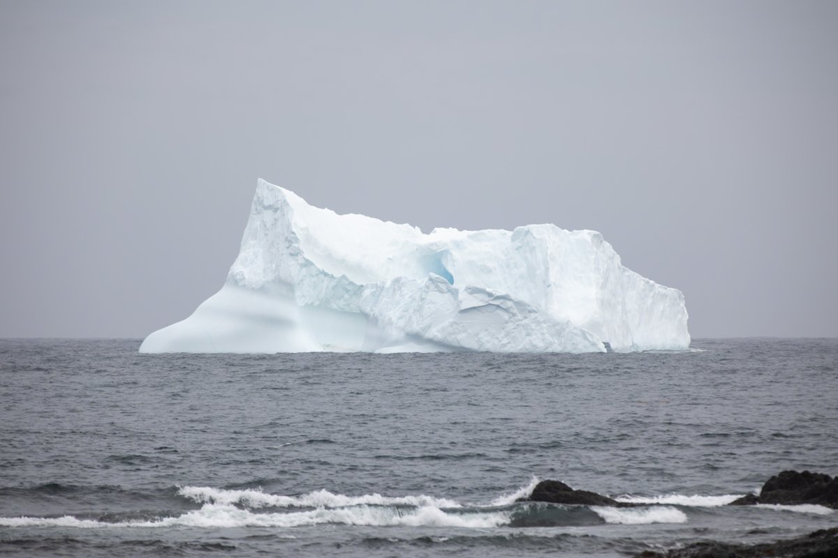A giant iceberg runs aground in Ferryland, Newfoundland, a popular tourist community situated on the Irish Loop and East Coast Trail. #Newfoundland #Canada #ExploreNL #ExploreCanada #EastCoastTrail #ECTlove