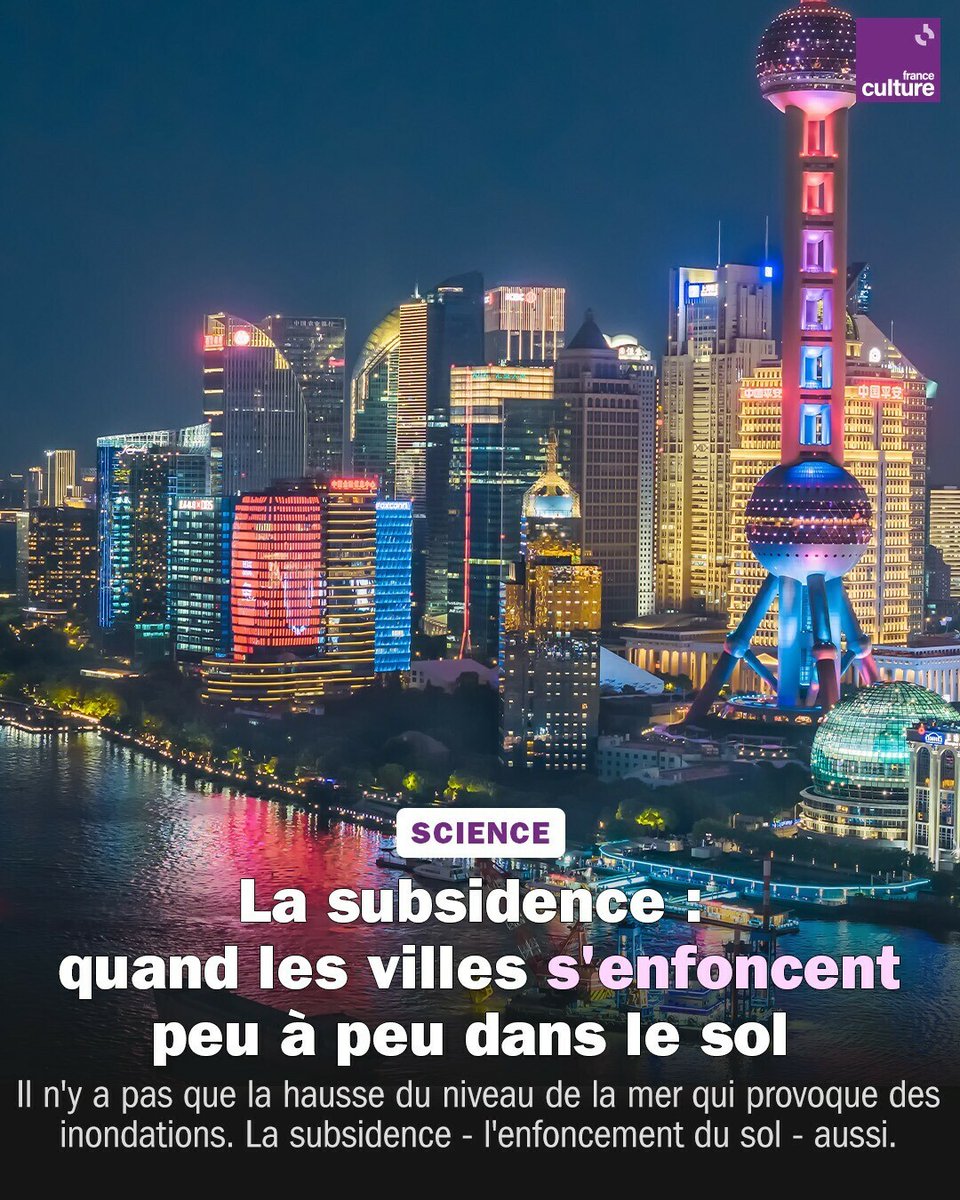 Les géologues ont mesuré le taux de subsidence des grandes villes : il est estimé à environ 30 centimètres par siècle. Mais si le rythme semble lent, il n'est pas le même partout.
➡️ l.franceculture.fr/D9U