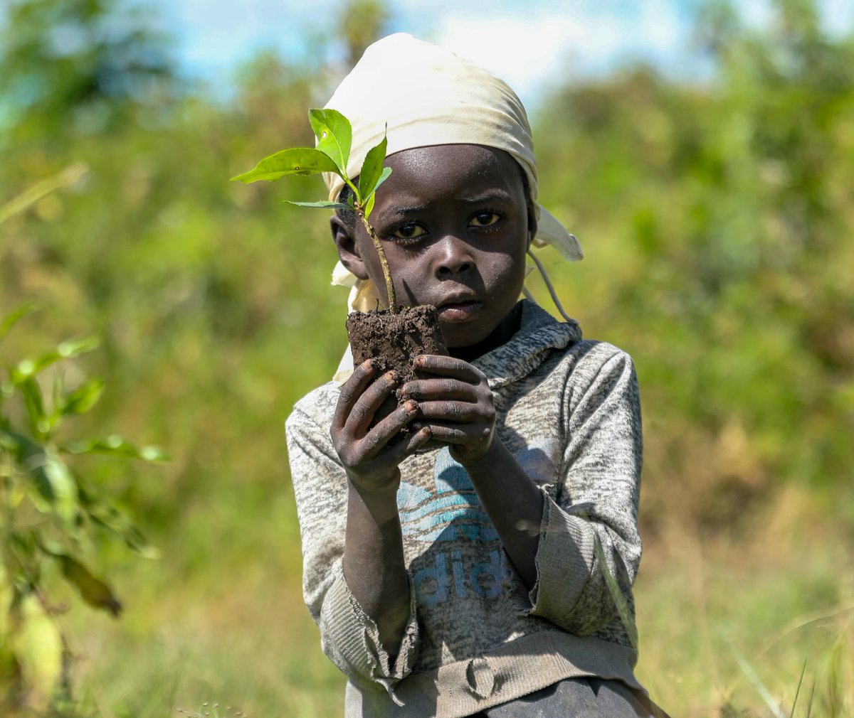 You can be that light that sparks change in your community in the fight against climate crisis! Here is an amazing course for you to grab via yali.state.gov/courses/course… and make the planet more sustainable for everyone.