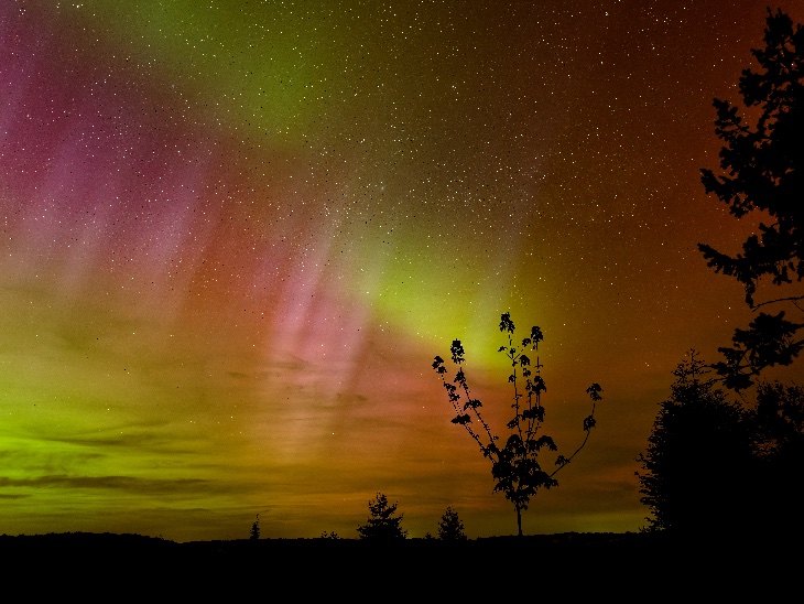 #Aurora Taken by Roland Franclet on May 11, 2024 France