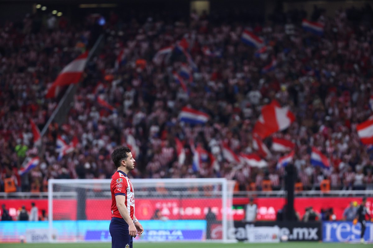 Gracias por llegar, ojalá no tengas que irte nunca. 🐐❤️