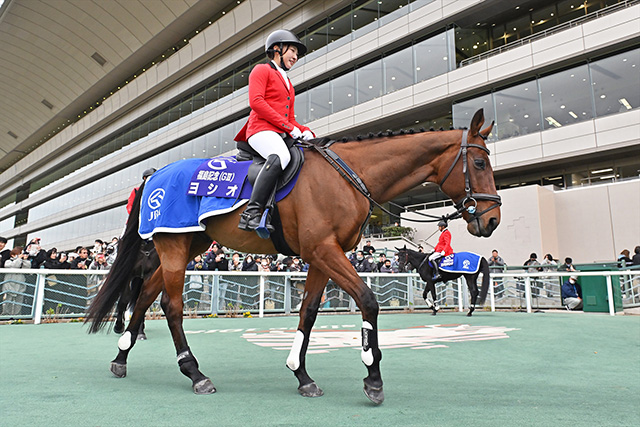 ヨシオ（福島競馬場誘導馬）デビュー戦現地馬券 ヨシオが福島競馬場で誘導馬に 「無事之名馬」を体現した