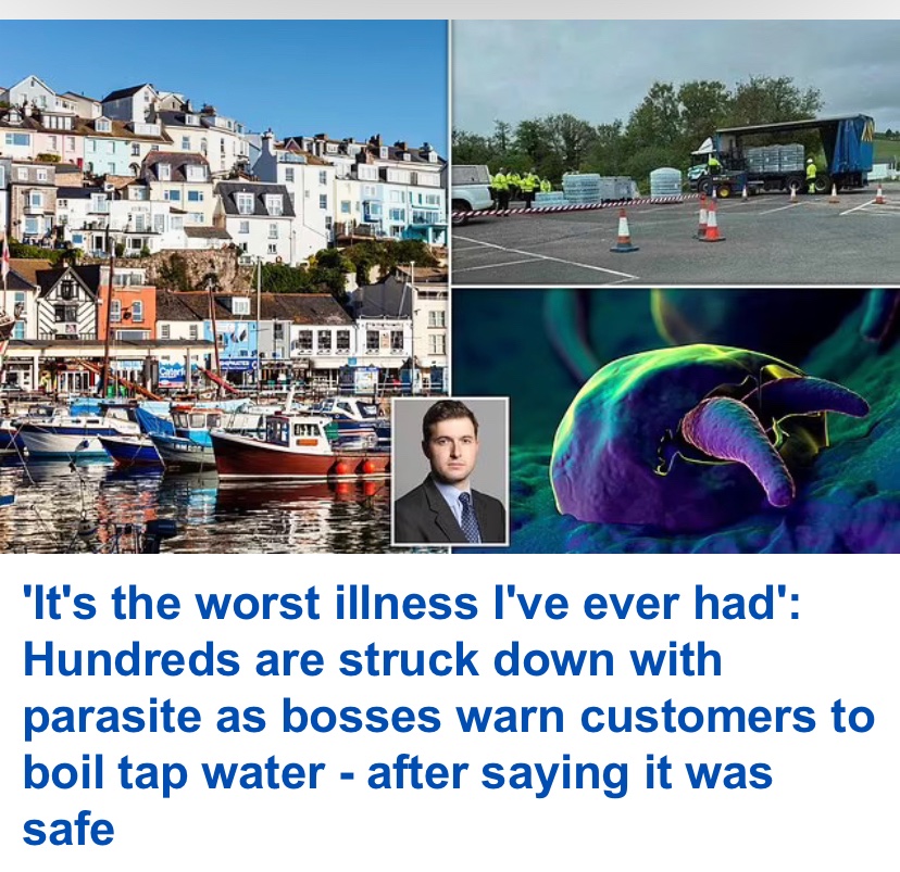 The Daily Mail is too ashamed to mention this happened in Devon in their headline.

What a shitshow.