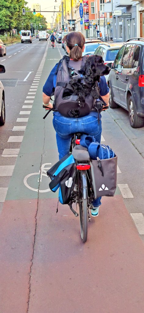 Rückfahrkamera ist sowas von gestern.
#mdrza #Fahrrad #cycling #Berlin