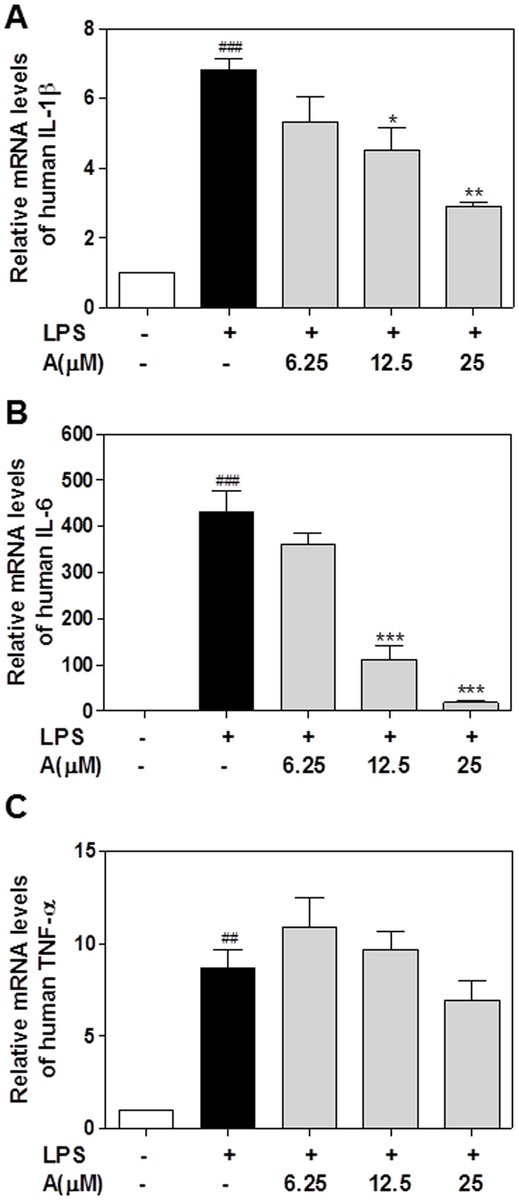 Apigenin and IL-6 'Effect of apigenin on LPS-induced proinflammatory cytokines mRNA expression in human THP-1-derived macrophages'