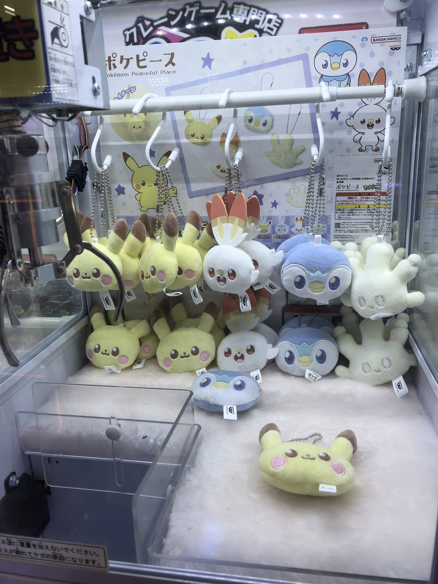 ポケピース ぬいぐるみ ピカチュウ ポッチャマ　ヒバニー マホミル fa06415c076798258d4384a777d7ac