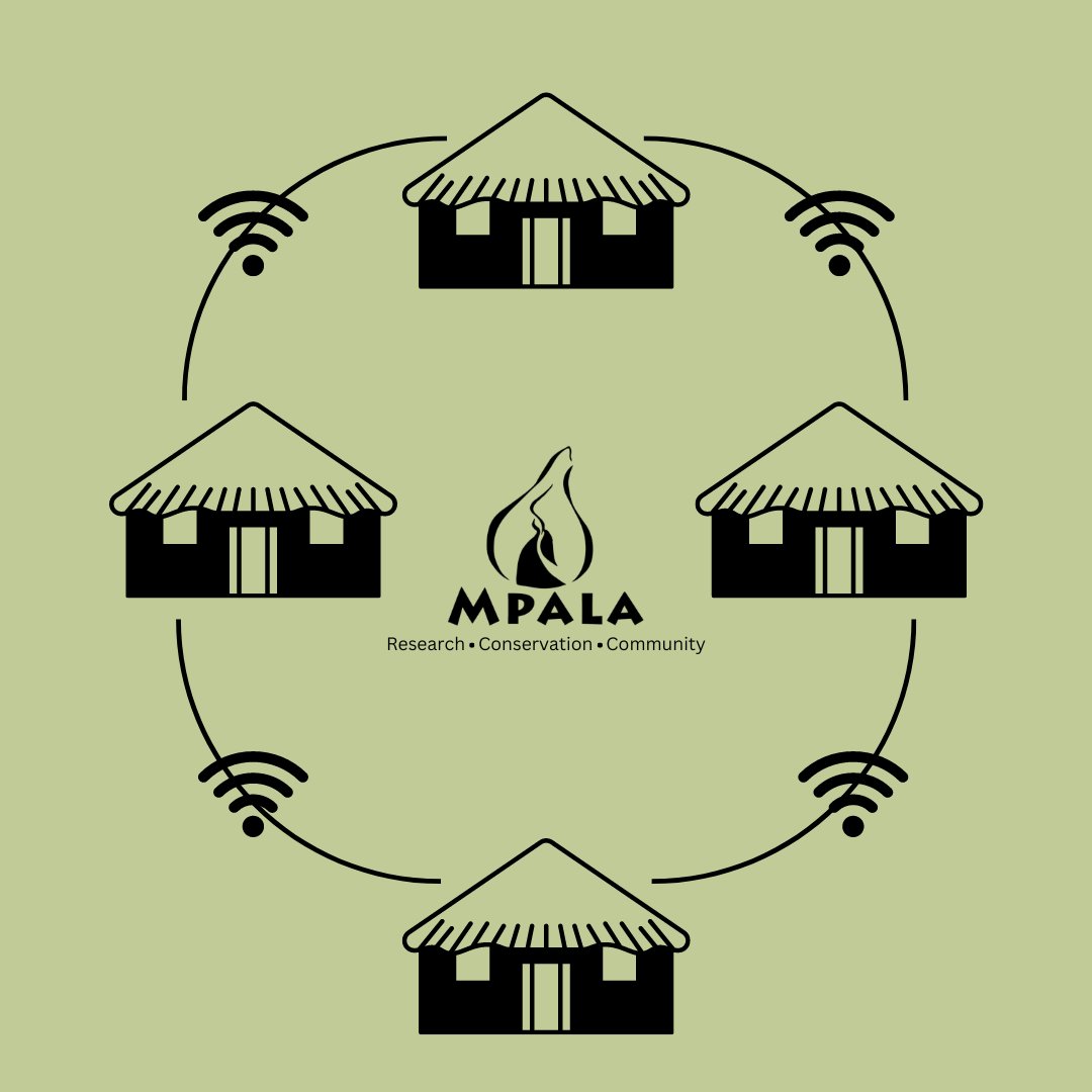 Exciting news! Internet is now available in all the bandas and the gym. Our IT team has been working hard to ensure all our guests and researchers can do their work throughout Mpala Research Centre. #ResearchAtMpala #InternetExpansion