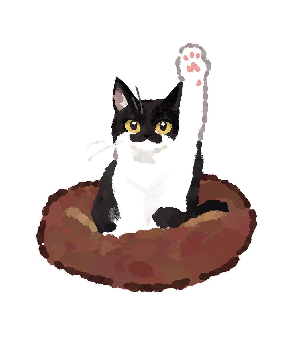 GENTLECAT (@gentleeeeeeecat) on Twitter photo 