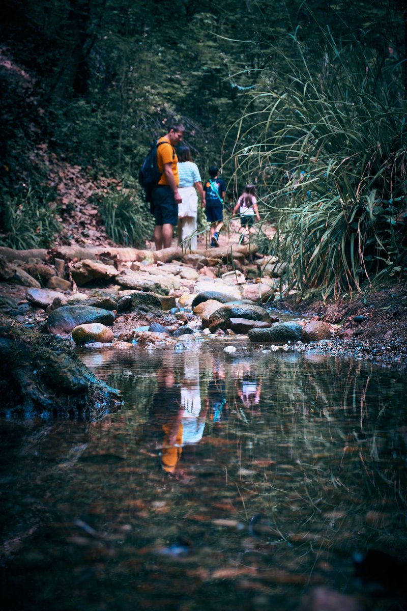 Hiking symmetry over the stream 📸 Fujifilm X-T4 📷 Fujinon XF 16-55mm F2.8 R LM WR ⚙️ Distance 55.0 mm - ISO 160 - f/8.0 - Shutter 1/40 📍 Torrent de Colobrers, Castellar del Vallès - Sabadell, Vallès Occidental #photography #NaturePhotography