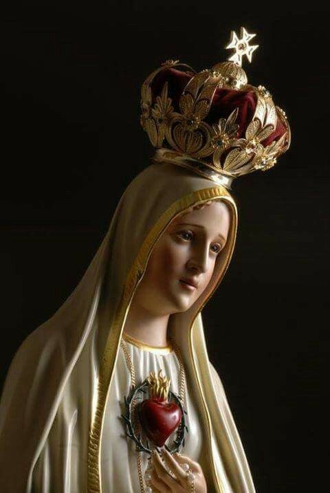 ✝️ Dios te salve, María,  llena eres de gracia; el Señor es contigo. Bendita Tú eres  entre todas las mujeres, y bendito es el fruto de tu vientre, Jesús.  Santa María, Madre de Dios, ruega por nosotros, pecadores, ahora y en la hora de nuestra muerte. Amén 🙏