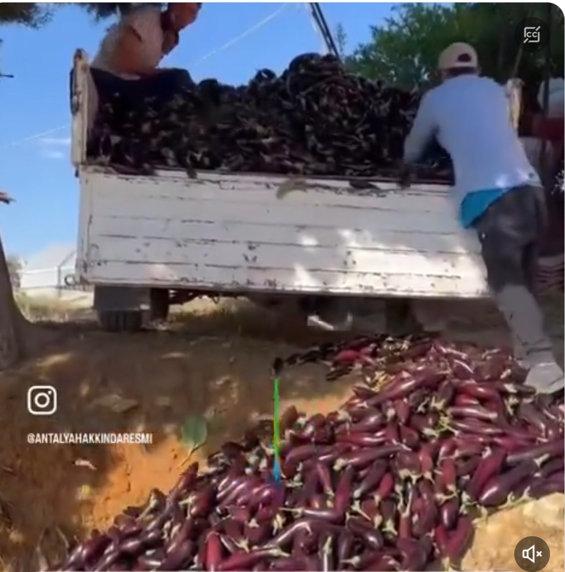 Antalya'da çiftçi bu patlıcanları dökünçe işlem yapıldımı? Bilgisi olan var mı Yoksa bu çiftçiye dava acacam ve takipçisi olacağım Eğer bunlar istedikleri gibi at oynatırlarsa bu görüntülerle herzaman karşılaşırız