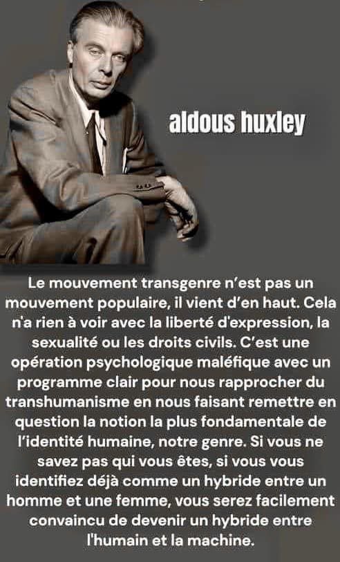 Le terme transhumanisme a été popularisé par le biologiste et philosophe Julian Huxley dans son essai de 1957. Huxley soutenait qu'il était désormais possible pour les institutions sociales de supplanter l'évolution humaine en affinant et en améliorant l'espèce humaine.