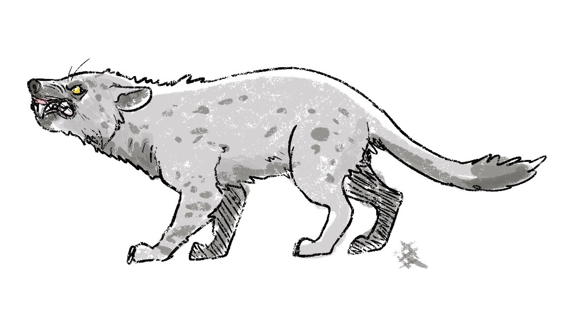 Enhydrocyon doodle, a canid that sometimes has been compared to a jaguar (robust and short skull).