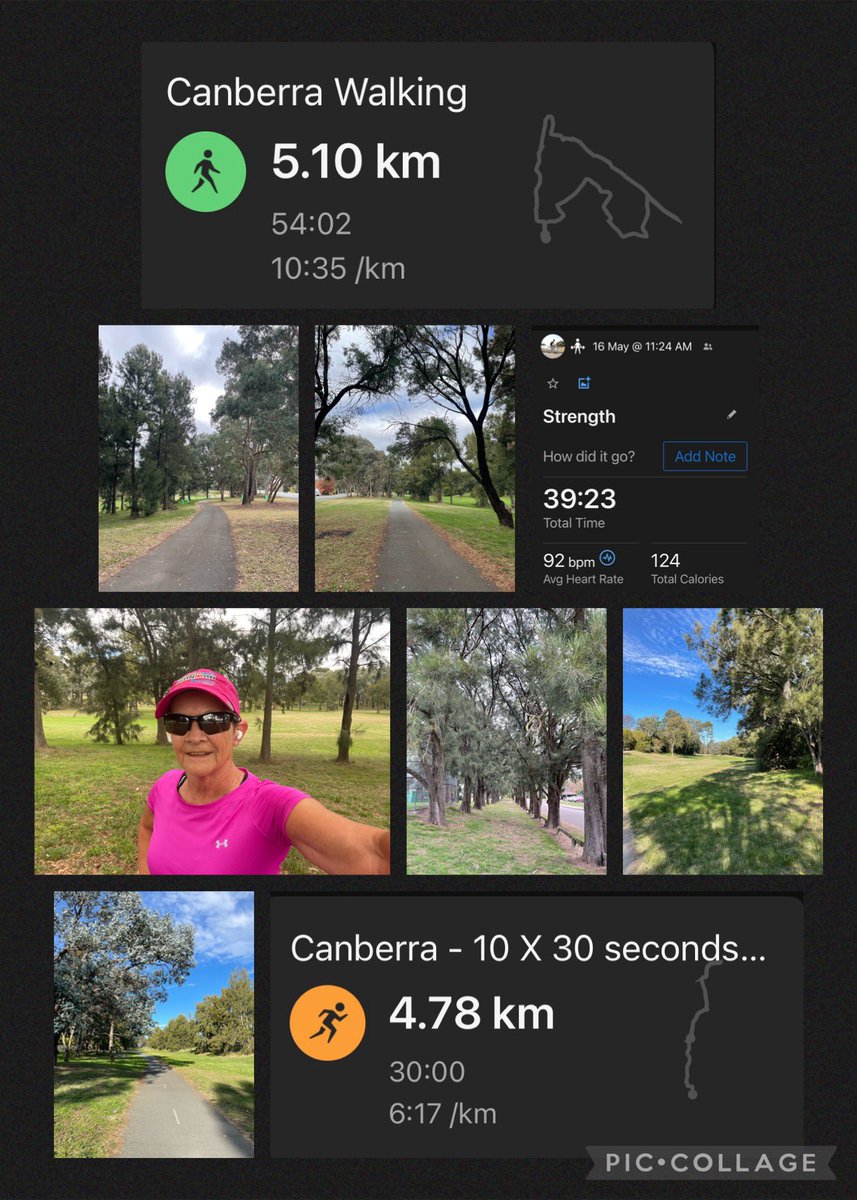 Cathy 🦉 tweet media