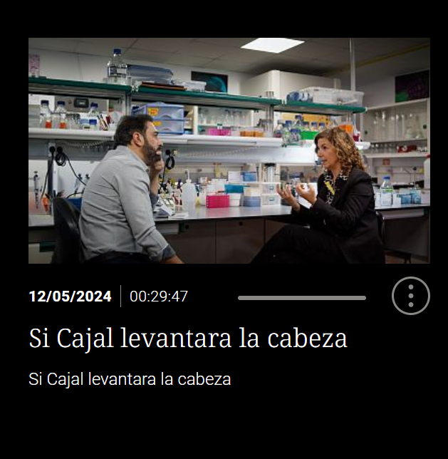 Si todavía no has visto el episodio 'Si Cajal levantara la cabeza' de @cazadorcerebros, puedes verlo aquí 👇 rtve.es/play/videos/el… Con los investigadores del @NeuroAlc @FelixFelxfel @T_Guillamon y @GuilleLBendito 👏👏 @la2_tve @rtveplay
