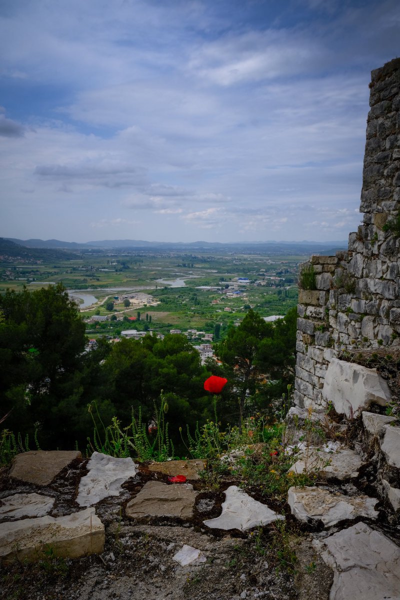 I always love a poppy. Stood at the castle in Berat, Albania, looking across the countryside. Fuji XPro3 with Velvia