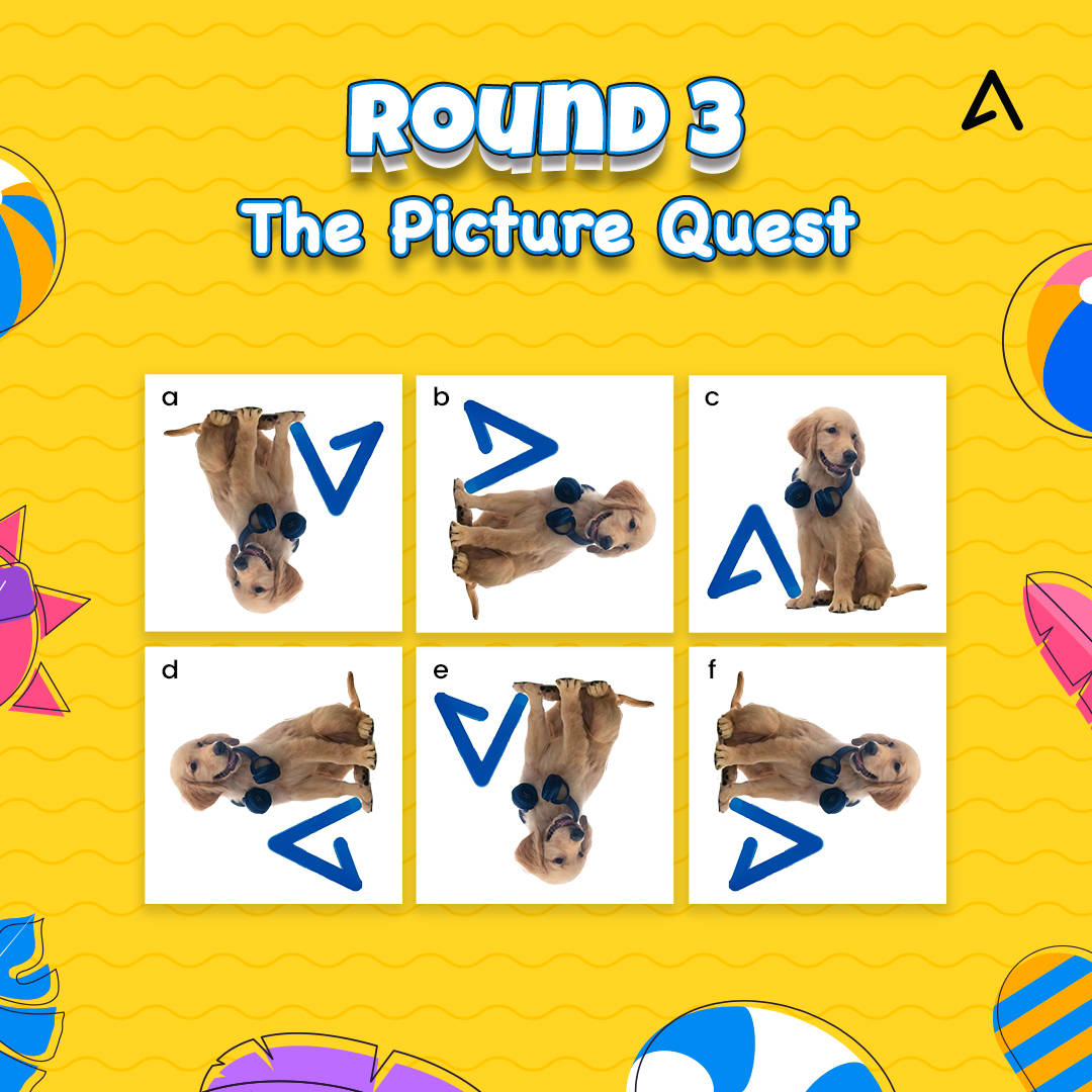 Summer #Giveaway Round 3🚨 Spot the correct image of our #furryfriend to fetch an exciting #hamper by @Appinventiv! 🥳 Must Follow Rules: 🖖Follow @Appinventiv 🔁Like & #RT ✅Comment your answer & Tag 5 friends #Giveaway #GiveawayAlert #contestalertindia #giveawayUSER