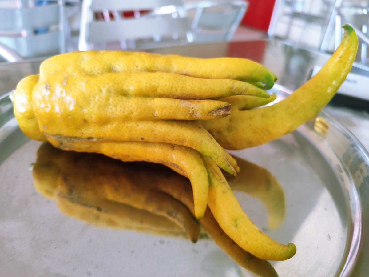 Citron La main de Bouddha #LaReunion