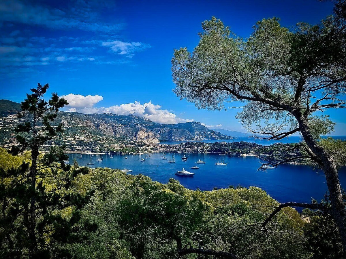 #Photodujour 
😍 Le bleu et le vert de la Côte d'Azur en été.

 📷 Sylvain Reybaut

Vous aimez cette photo ? 
#nicematin #varmatin #cotedazur