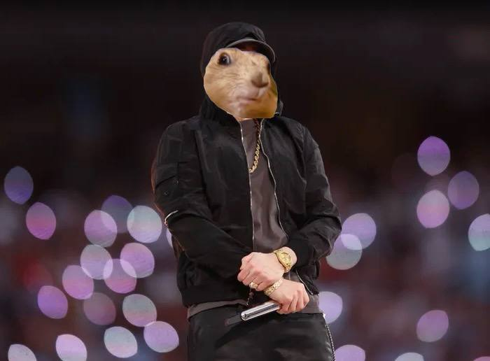 chiponsol tweet media