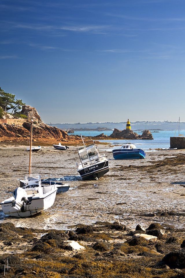 PORT DE PÊCHE A MARÉE BASSE SUR L'ÎLE DE BRÉHAT ♥️♥️♥️♥️♥️♥️♥️♥️