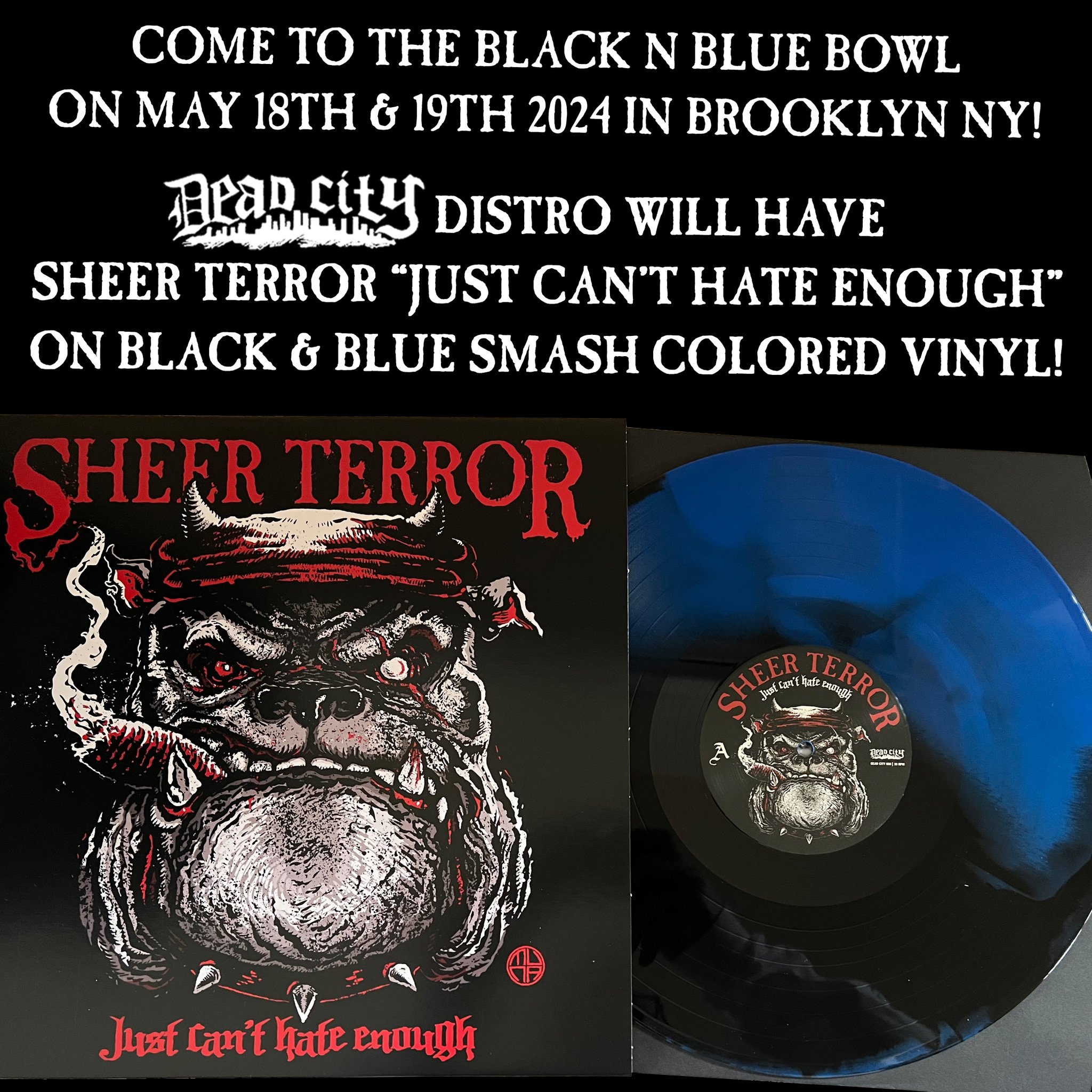 洋楽 SHEER TERROR 洋楽 SHEER TERROR Sheer Terror - Apple Music