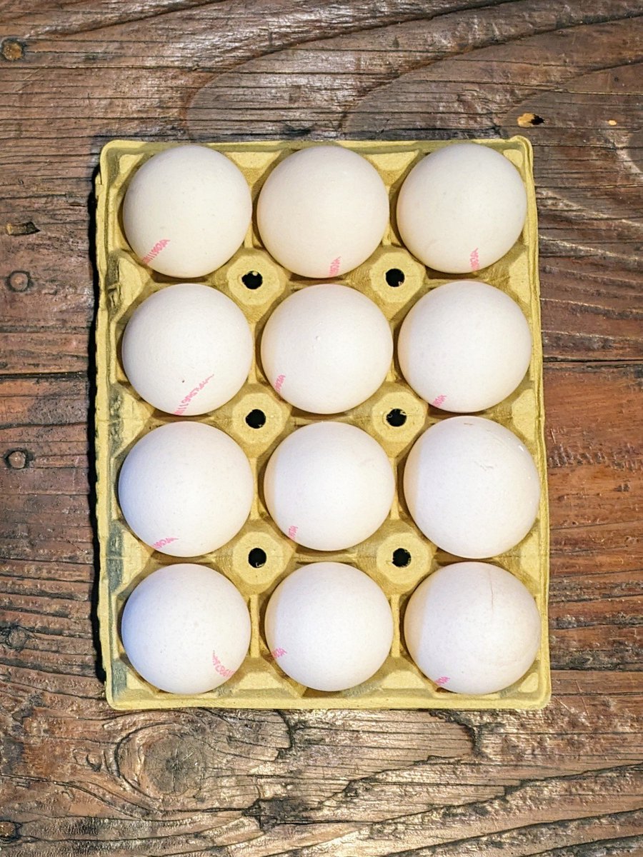 #AlphabetChallenge #WeekT T is for Twelve These Spanish eggs reminded me how much we are just used to brown ones at home now!